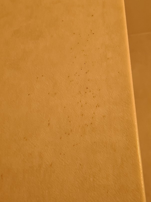 Hostellerie de la Poste主图