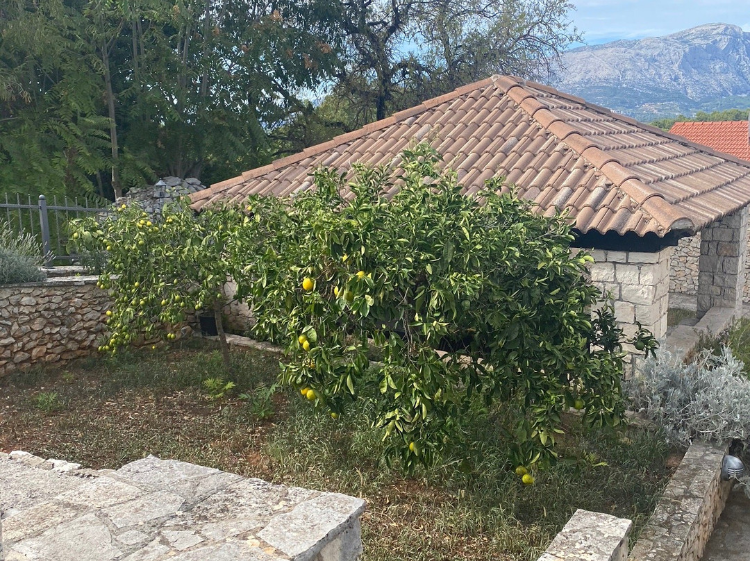 Bire winery景点图片