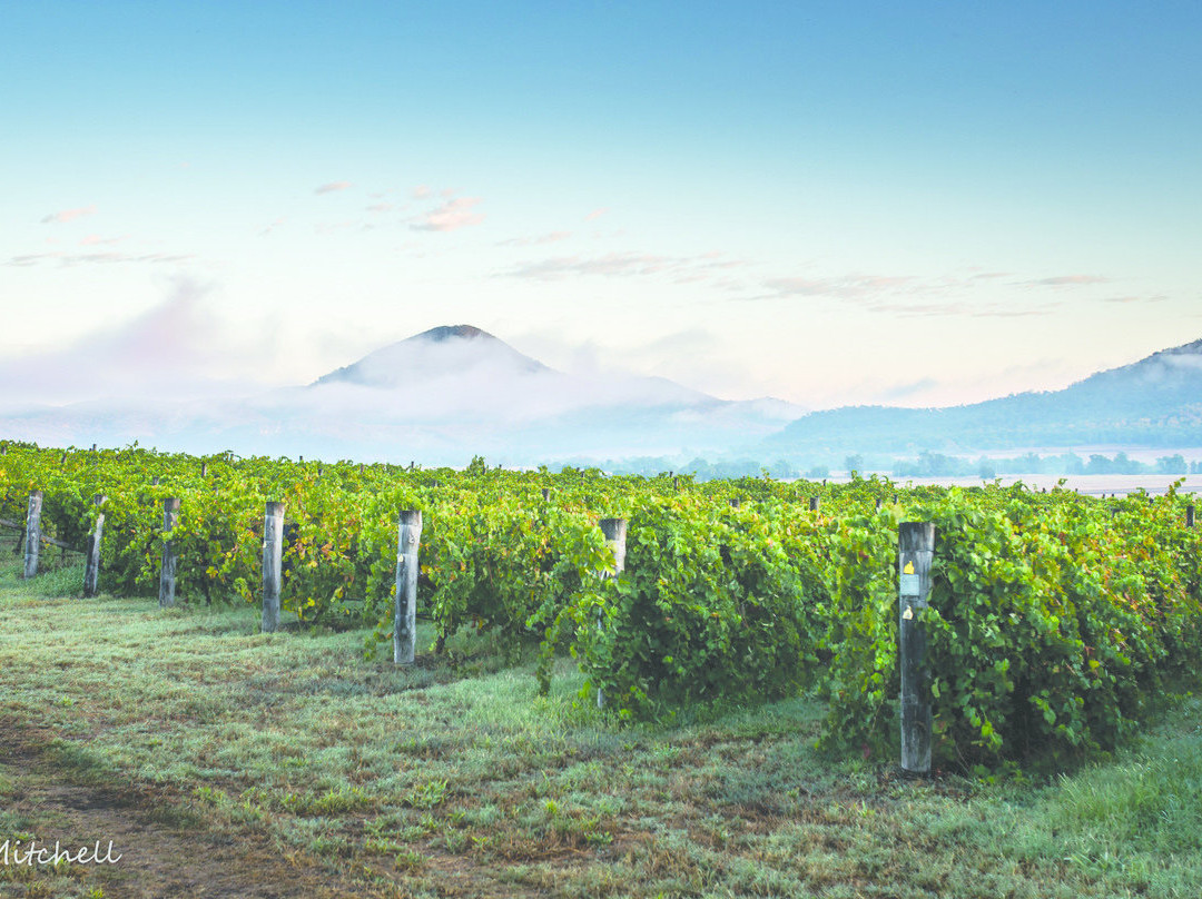 Merriwa旅游景点-James Estate Wines