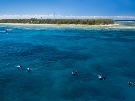 Lady Elliot Island Dive Shop-埃里奥特夫人岛必去景点