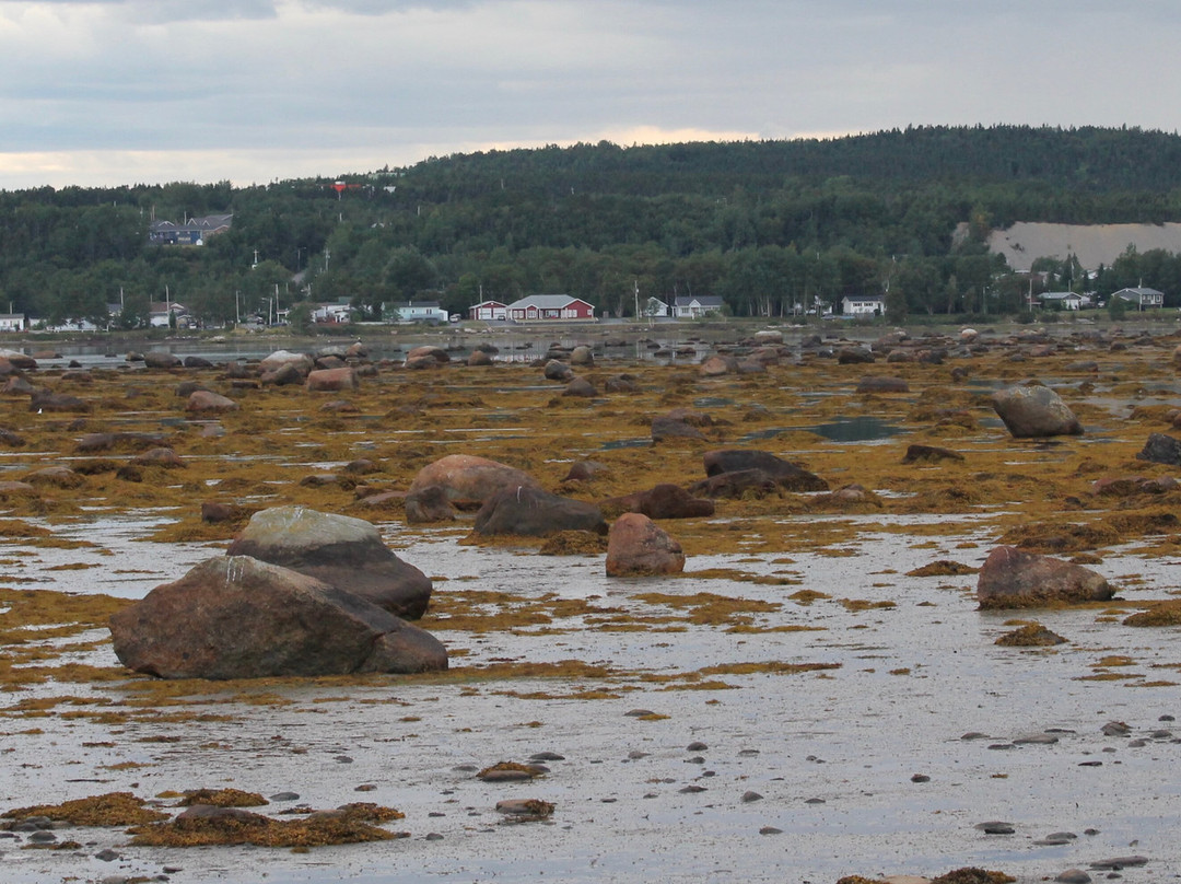 Freshwater Inn主图