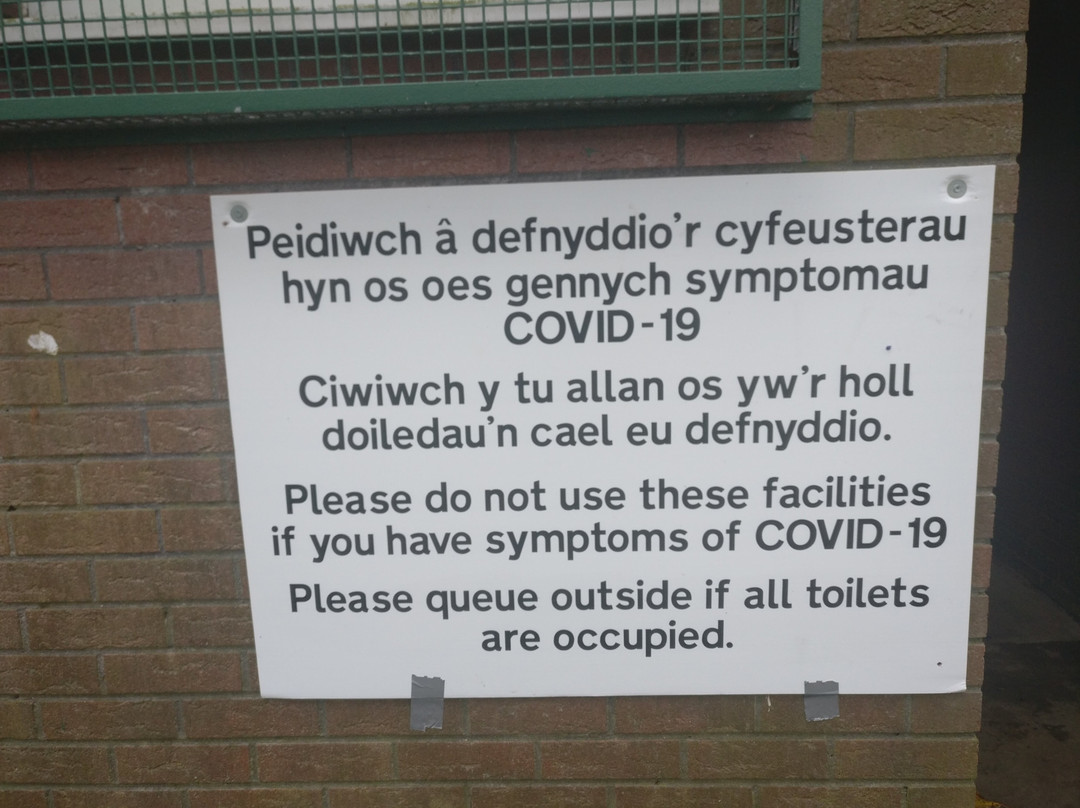 Cwmdonkin Park-斯温西必去景点