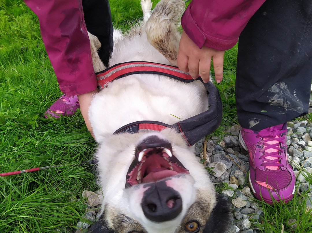 Trollheimen Husky-Rennebu Municipality必去景点