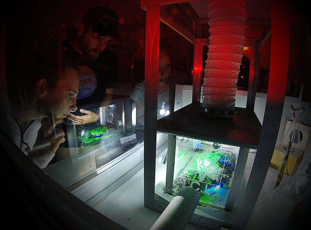 Adventurebox Karlsruhe景点图片