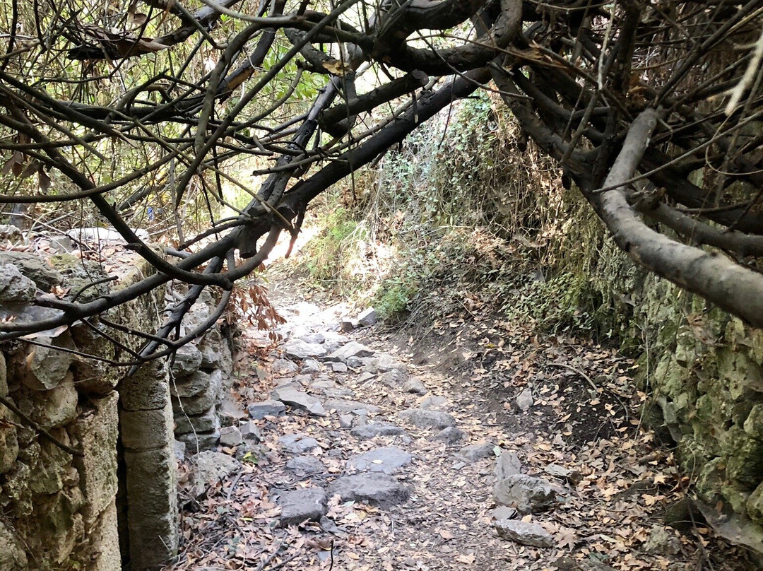 Water Mills Milopotamos-Milopotamos必去景点