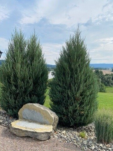 Landhotel Weserblick主图