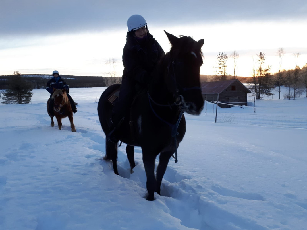 Arctic Nature Trips-罗瓦涅米必去景点