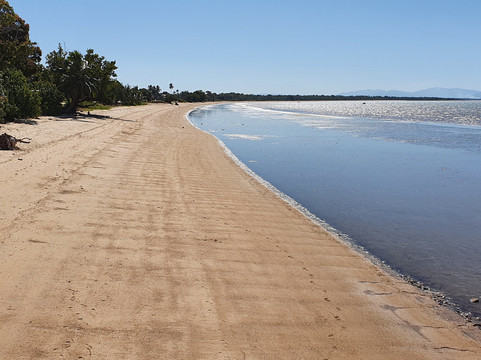 Cardwell Jetty