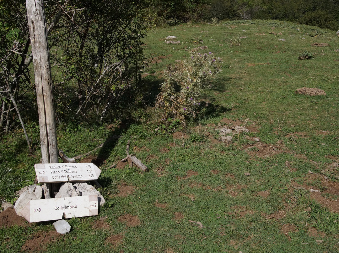 Piano del Gaudolino-Viggianello必去景点