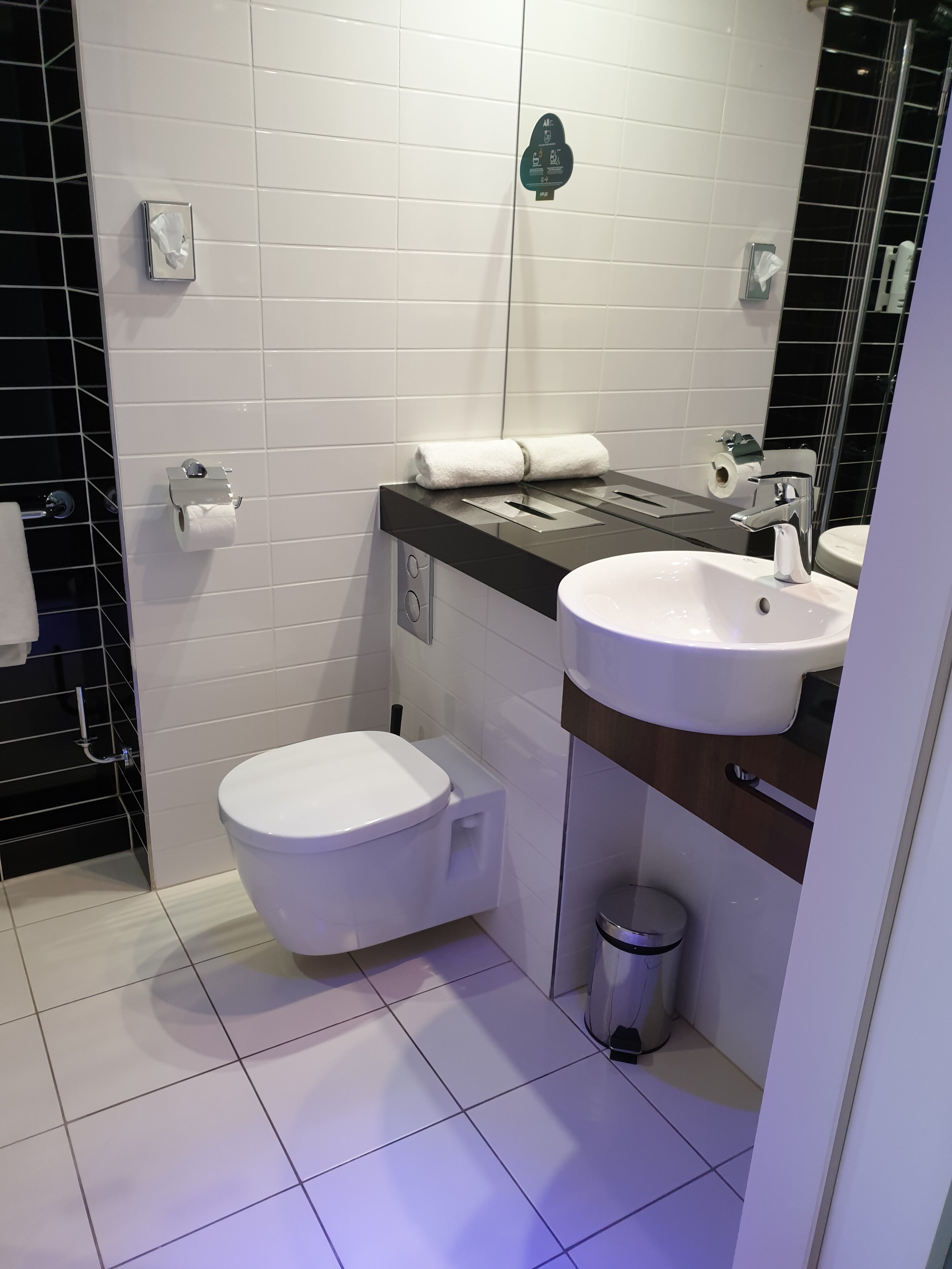 Ibis Styles Walbrzych-浴室