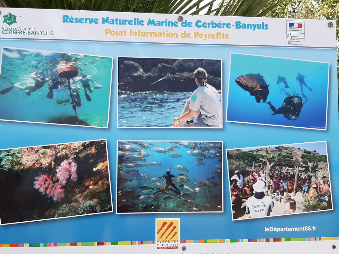Le Sentier Sous-Marin de Cerbère-Banyuls-Cerbere必去景点