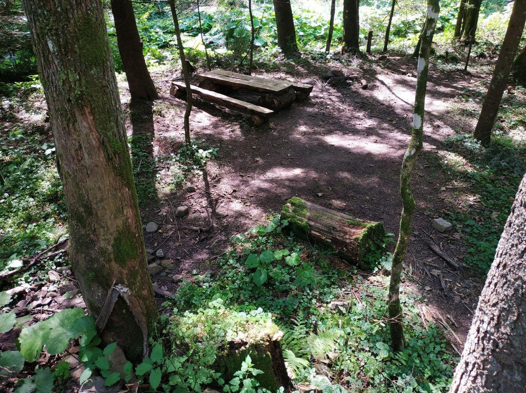 National Park Skole Beskids-Skole必去景点