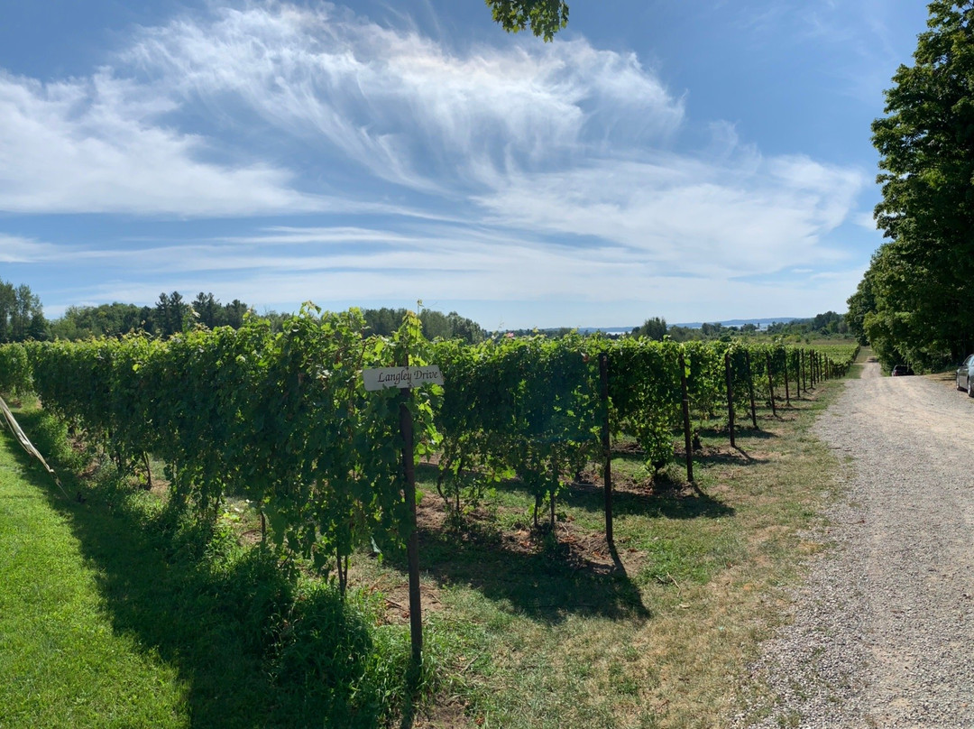 Bowers Harbor Vineyards-特拉弗斯城必去景点