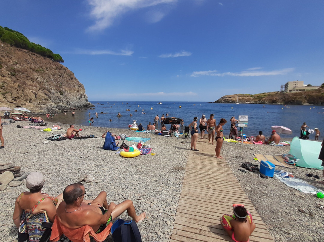 Le Sentier Sous-Marin de Cerbère-Banyuls-Cerbere必去景点