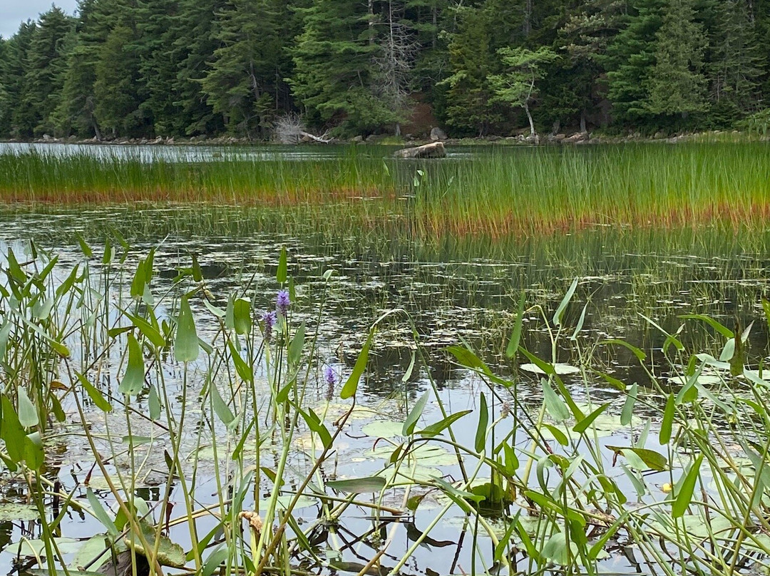 Eagle Lake Acadia National Park景点图片