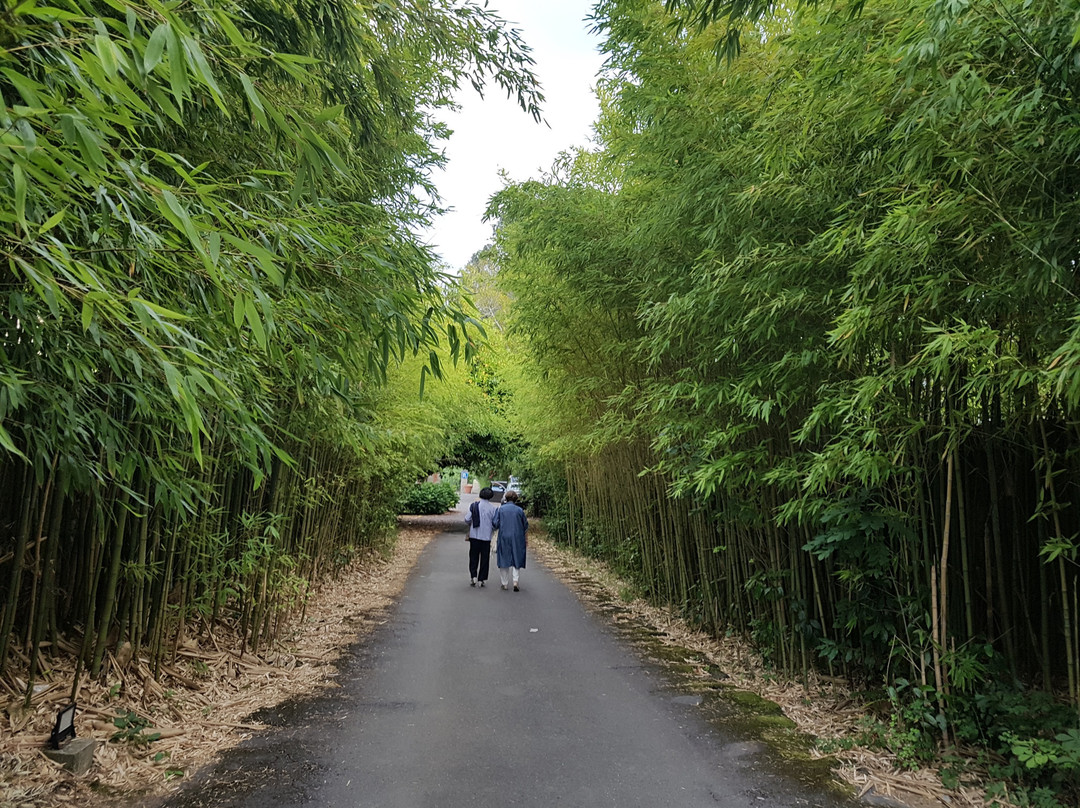 苏比塔酒店主图