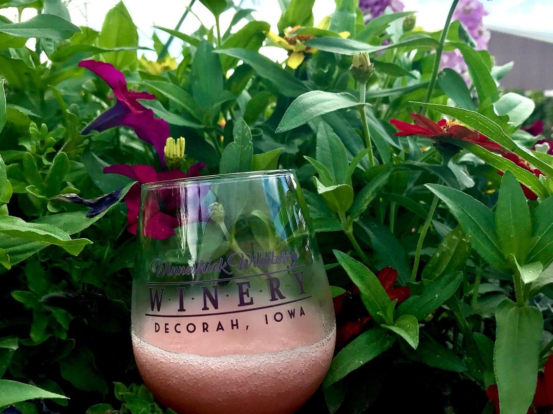 Winneshiek Wildberry Winery景点图片