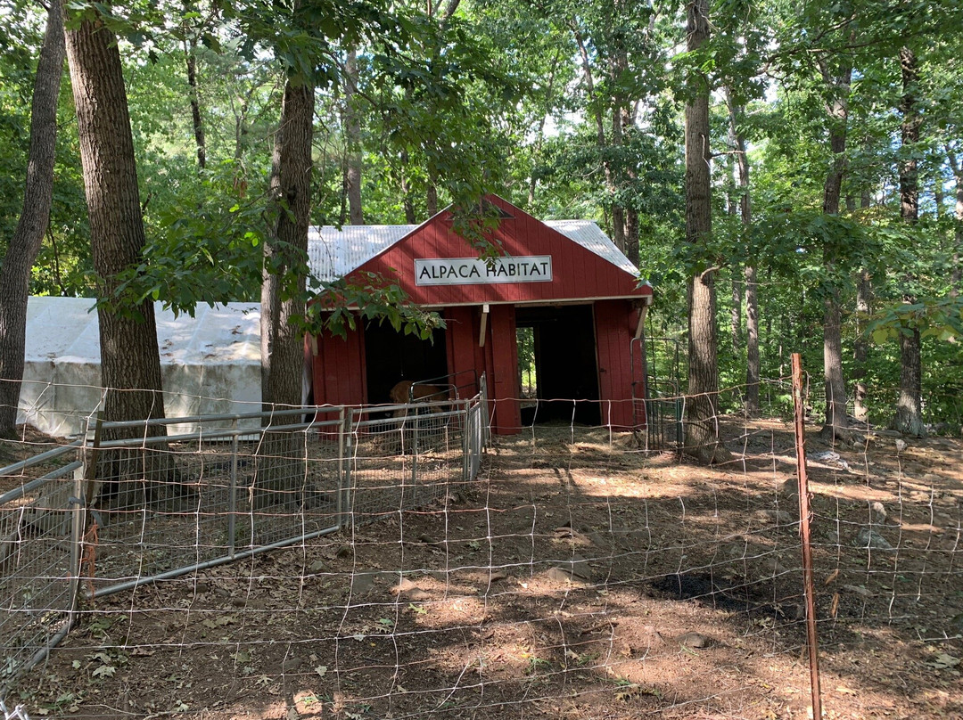 America's Stonehenge-Salem必去景点