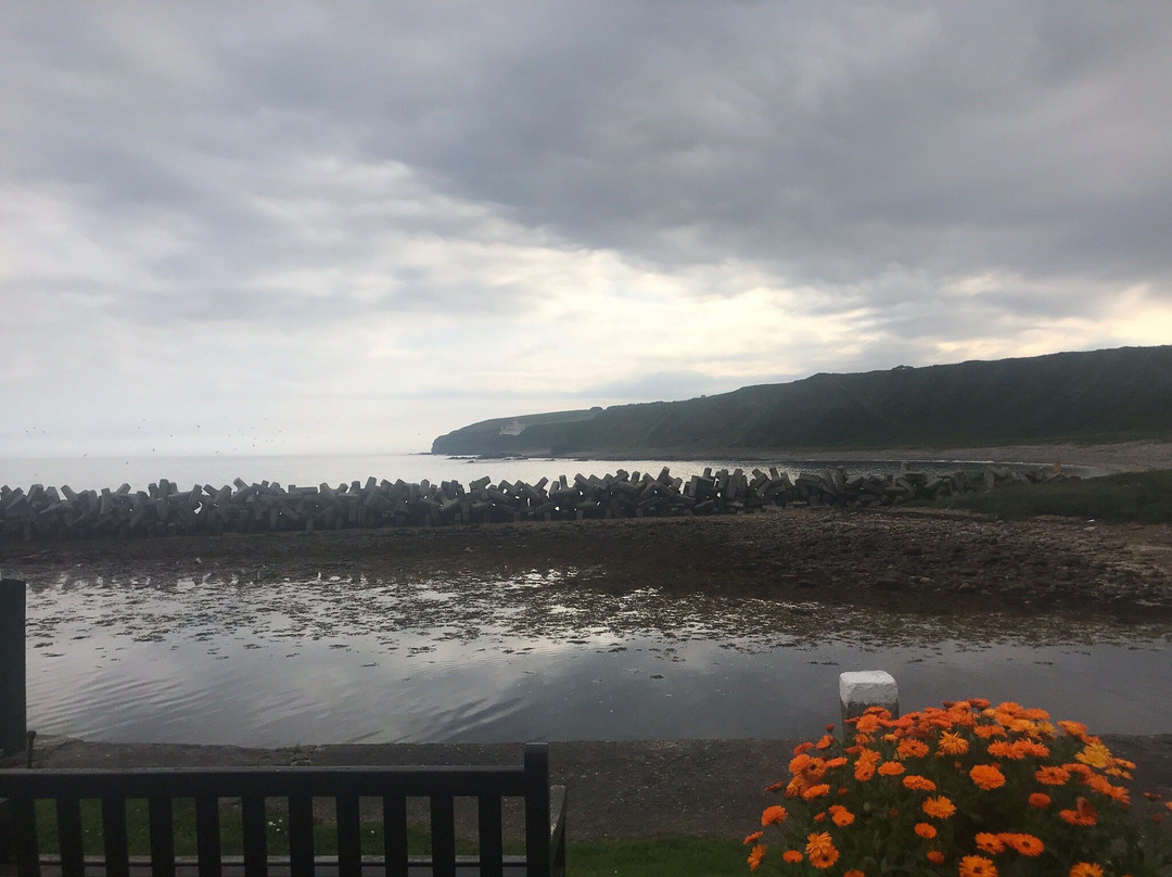 Dunbeath Strath景点图片