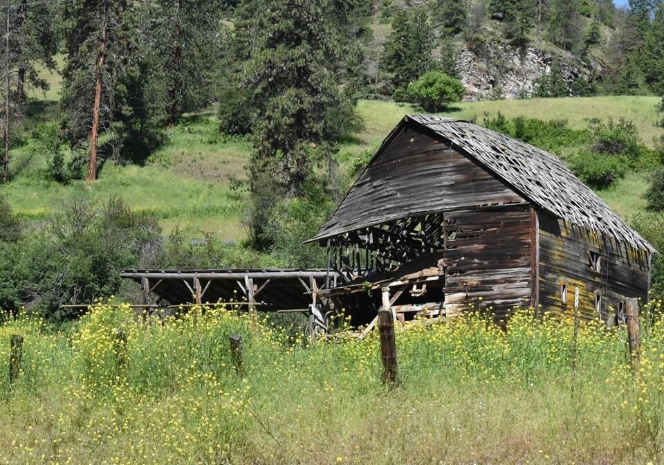 Curlew Lake State Park景点图片