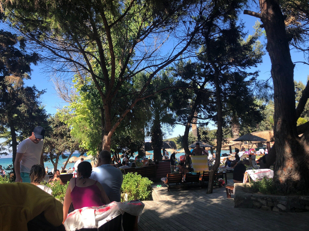 Quente Beach Club景点图片