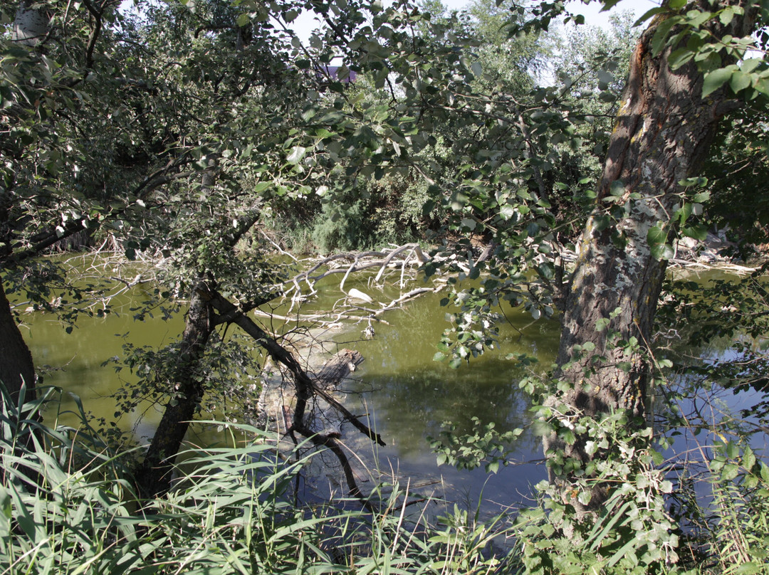 Lower Park-Zelenokumsk必去景点