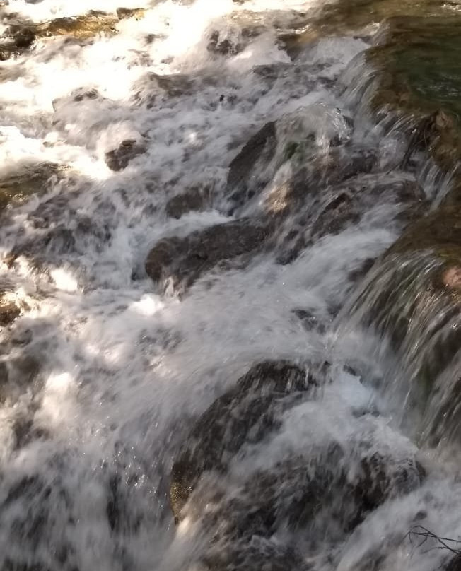 Parque Nacional da Serra da Bodoquena-博尼图必去景点