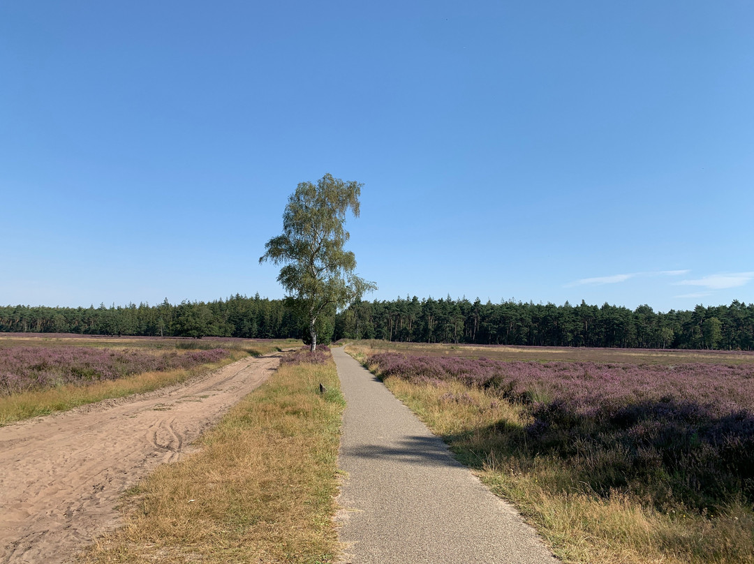 Veluwe Specialist Garderen景点图片