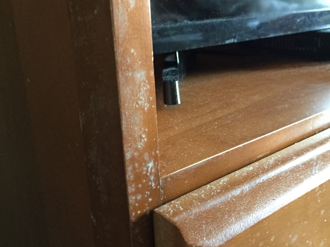 Spark By Hilton Murfreesboro主图