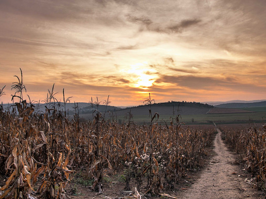 Nomad Society-布拉格必去景点