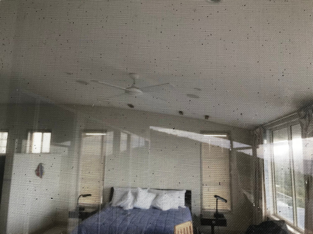 海洋景奢华海滨公寓