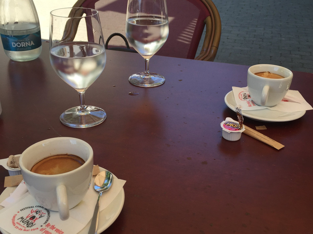 Hotel Restaurant Stejarul主图