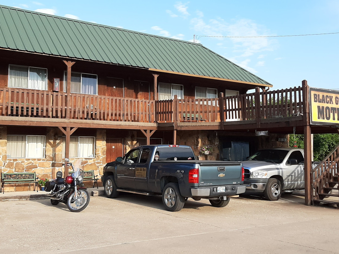 Black Gold Motel主图