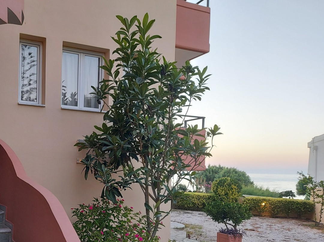 Iolkos Hotel Apartments Chania主图