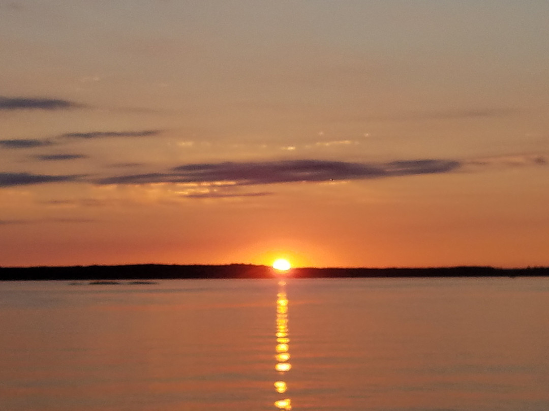 Your Wave Tours-Clayton必去景点