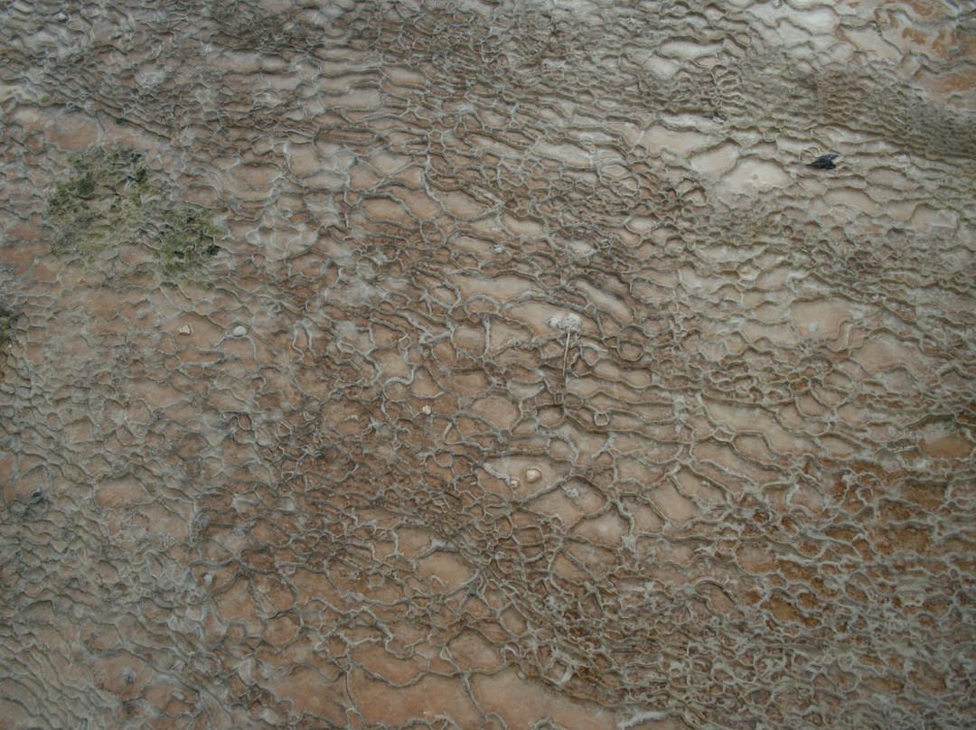 Mineral Springs景点图片