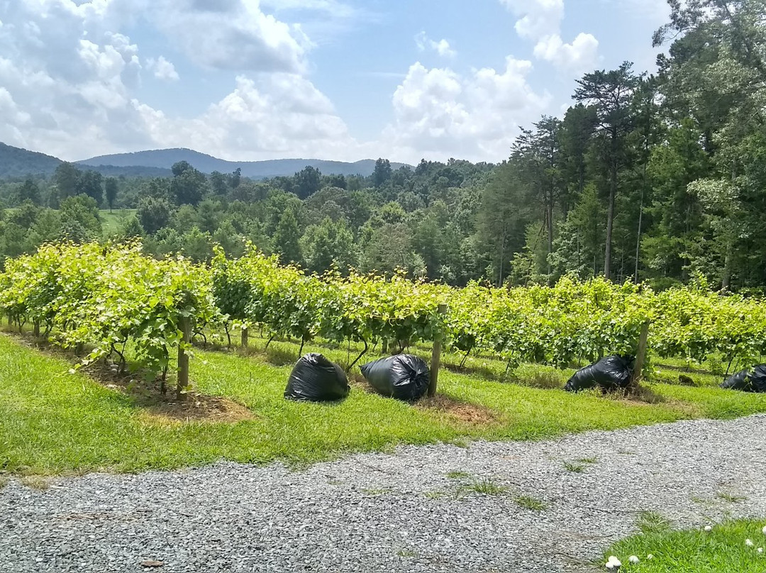 Ott Farms and Vineyard-Ellijay必去景点