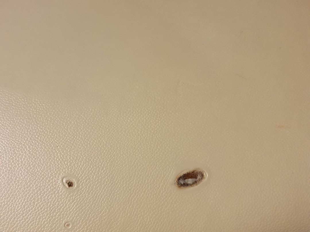 帕雷斯酒店主图