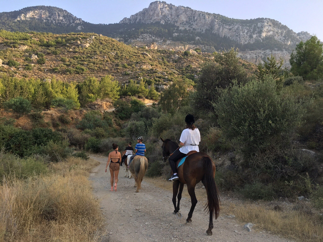 The Ranch North Cyprus景点图片