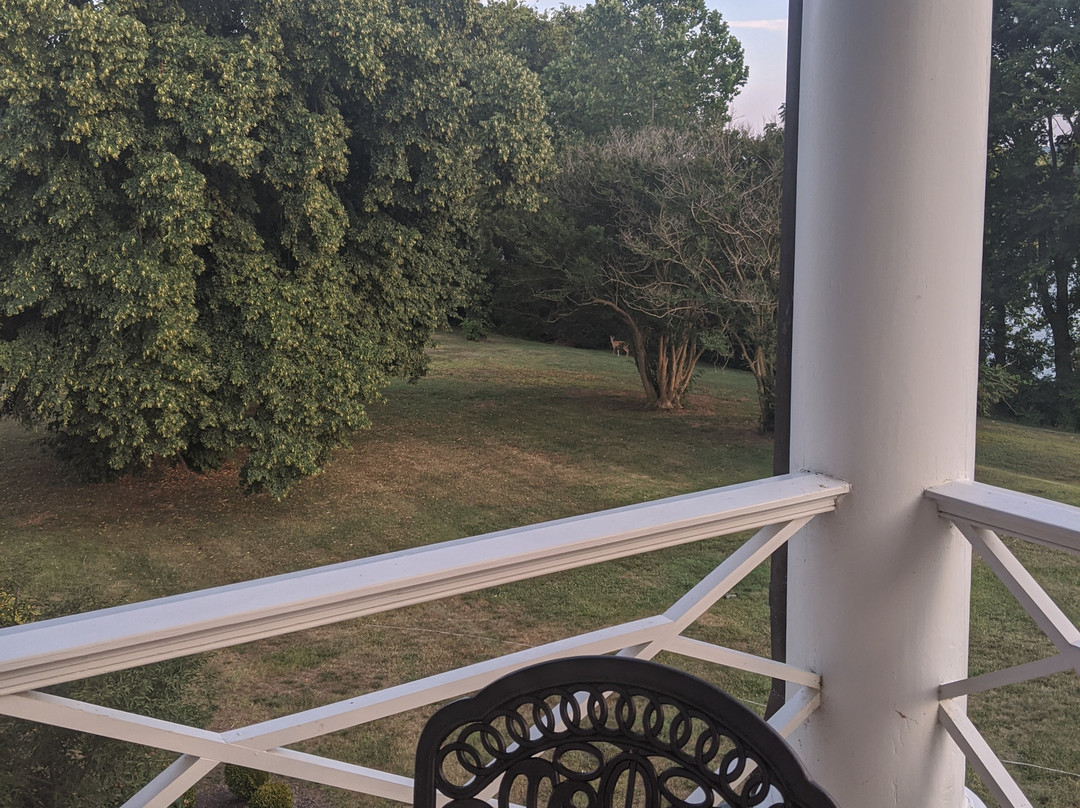 Belle Grove Plantation Bed and Breakfast主图