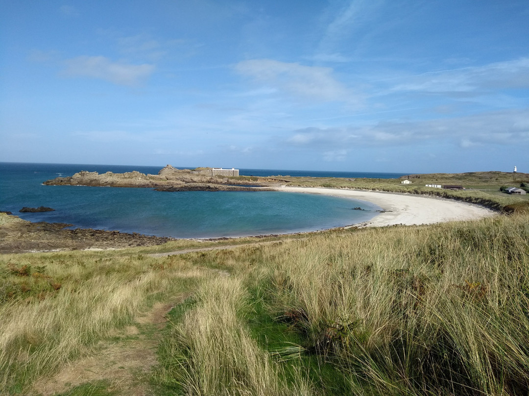 Alderney Wildlife Trust - Seabirds Boat Trip-Alderney必去景点