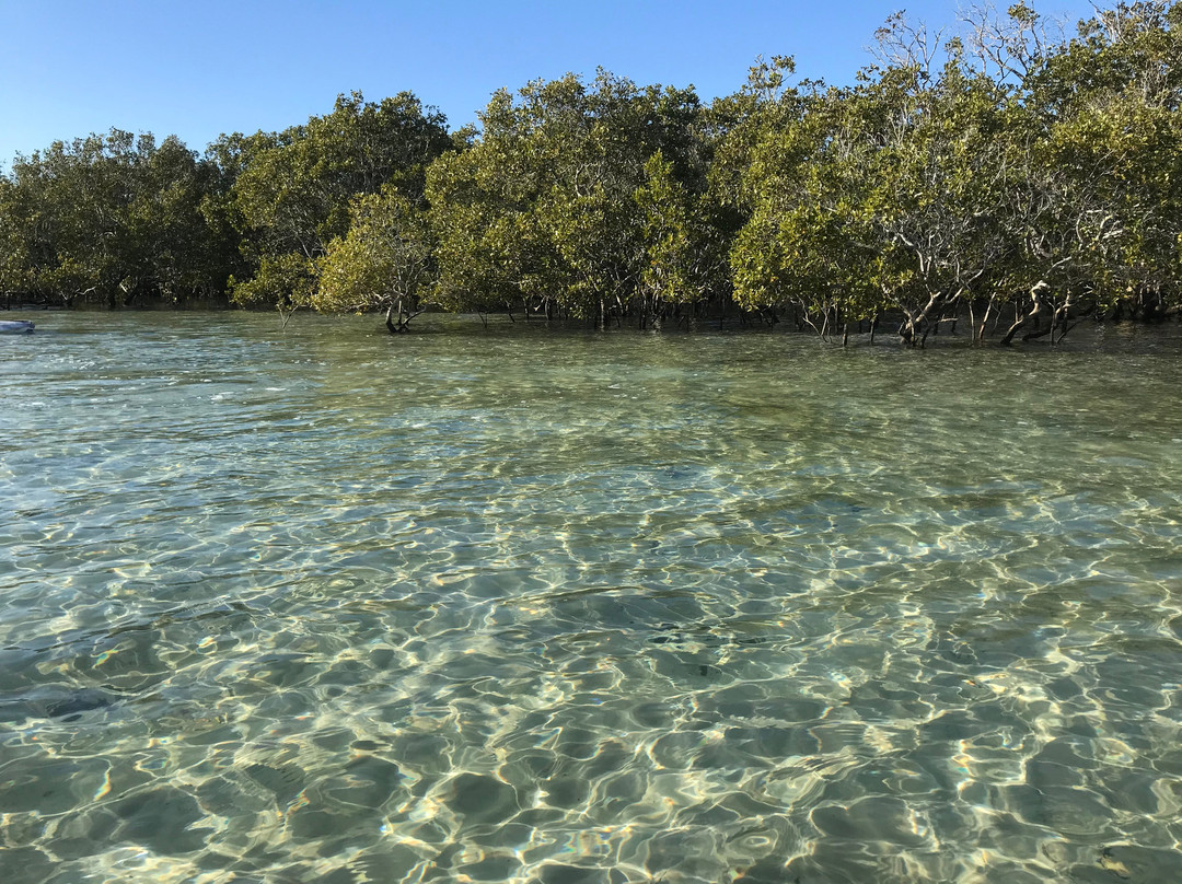 Straddie Adventures-North Stradbroke Island必去景点