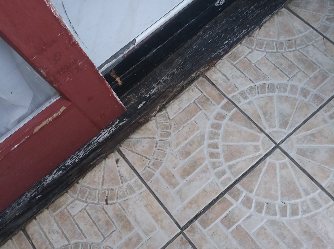 The Fisherman's Point主图