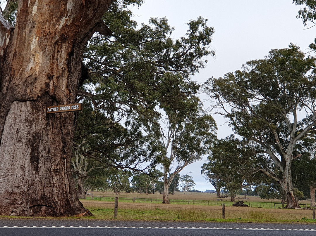 Father Woods Park-潘娜拉必去景点