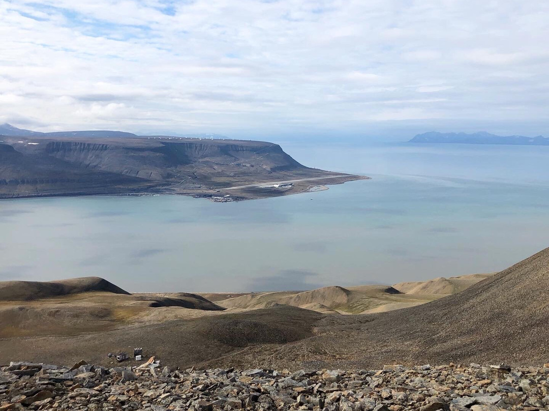 Svalbard Wildlife Expeditions景点图片