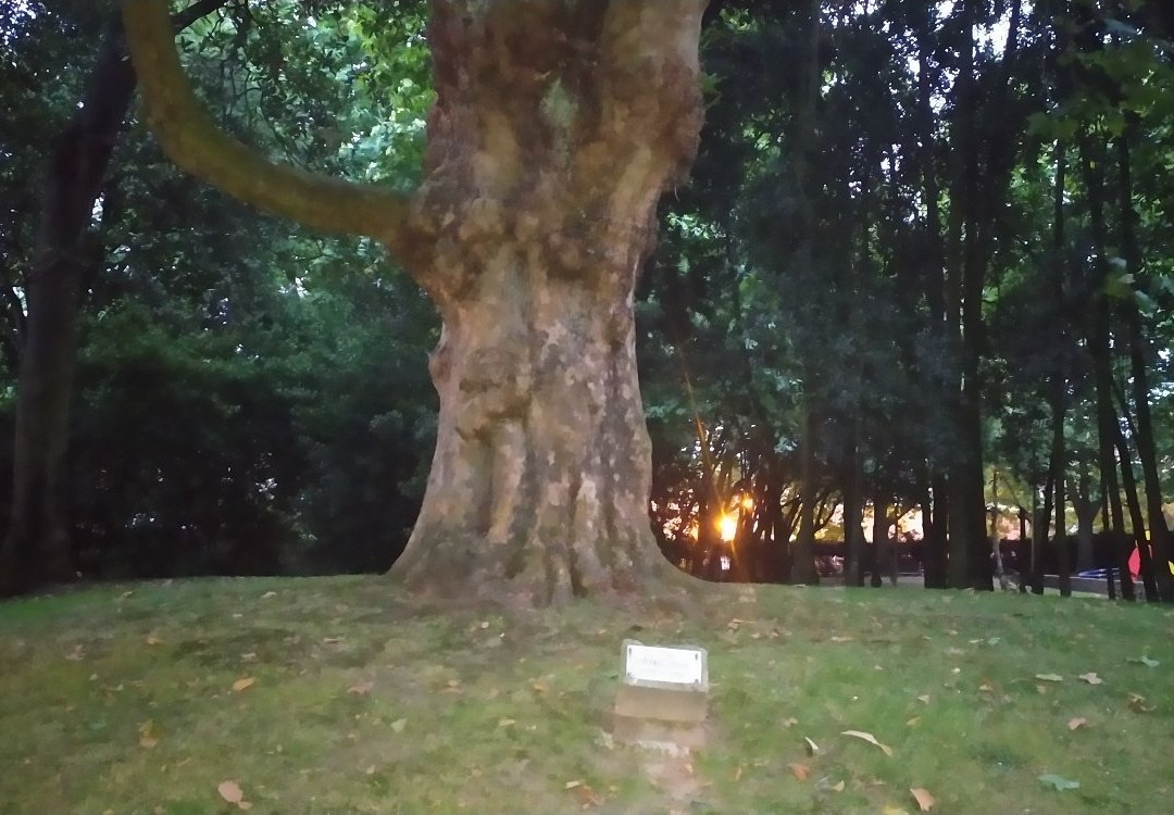 Parque de Ferrera-阿维莱斯必去景点