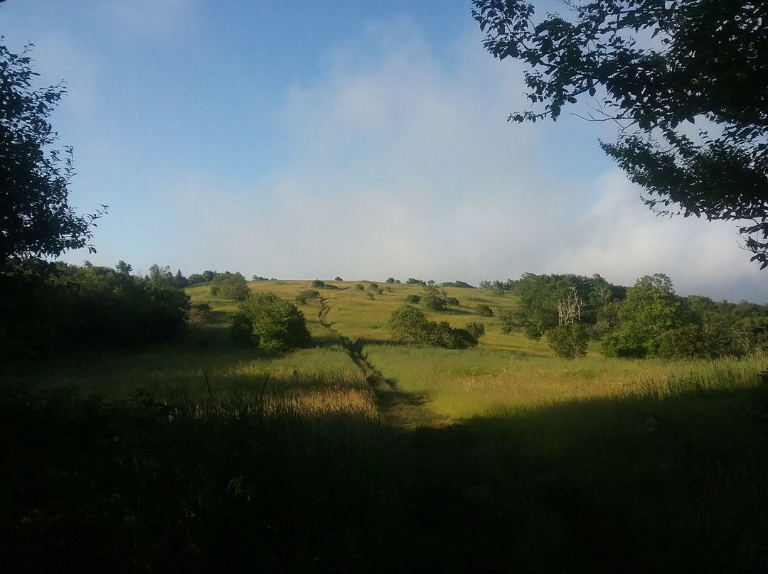 Huckleberry Knob-罗宾斯维尔必去景点