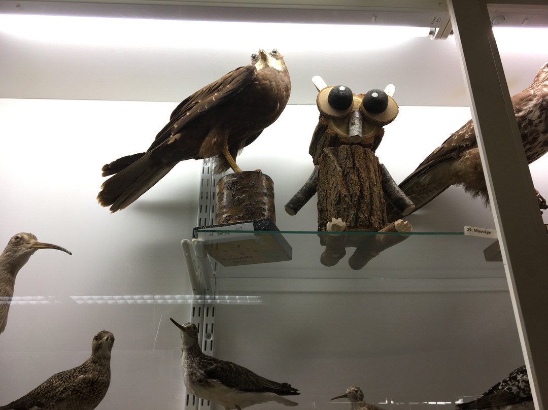 Uldum Molle Museum景点图片