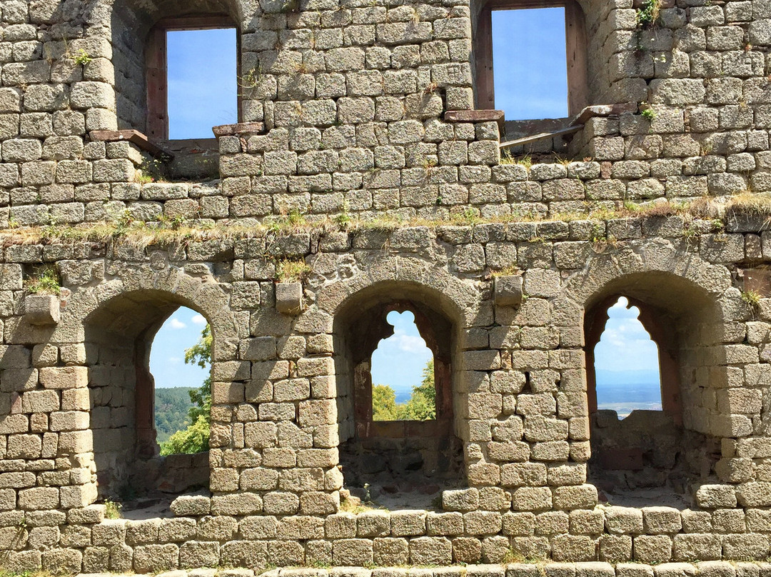 Château d'Andlau景点图片