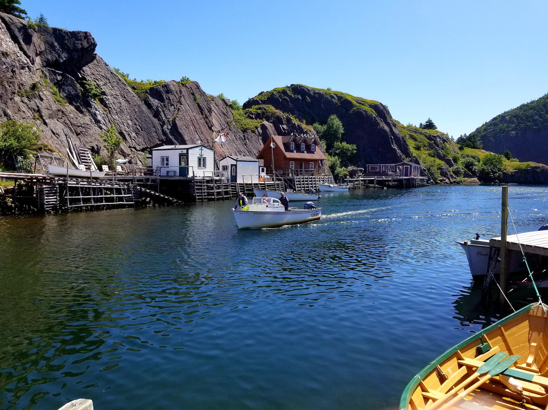 Quidi Vidi景点图片
